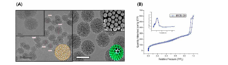 (A) MSN과 dMSN의 구조 차이 (B) dMSN의 N2 adsorption