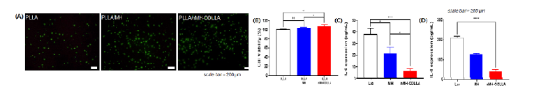 표면처리된 수산화마그네슘의 (A) Live/Dead staining, (B) cell viability, (C) IL-6 및 (D) IL-8 염증인자 발현