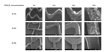 PDLLA의 농도에 따른 융해성 고분자 융합지지체 내측 코팅 결과