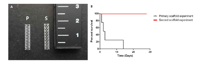 디자인의변경된심혈관중재용융해성고분자지지체와관상동맥내 이식후 생존율. (A) 디자인 변경된 이미지 및 (B) 1차 실험과 2차 실험의 생존율