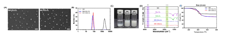 OLLCL 및 ODLCL 로 표면개질된 수산화마그네슘에 대한 (A) SEM, (B) 입자크기, (C) 분산성, (D) ATR-FTIR 및 (E) TGA