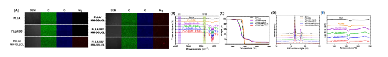SC 미세입자와 표면개질된 MH를 함유한 융합지지체의 (A) SEM, (B) ATR-FTIR, (C) TGA, (D) XRD 및 (E) DSC
