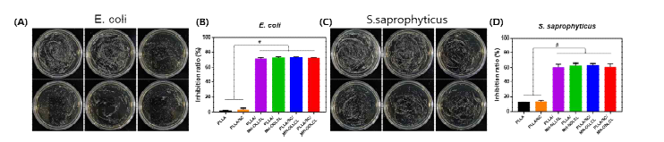 SC 미세입자와 표면개질된 MH를 함유한 융합지지체의 항균성 평가. (A,B) gram–negative bacteria (E. coli) 및 (C,D) gram–positive bacteria (S. saprophyticus)