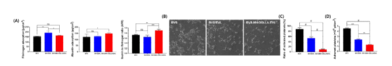 분자 및 약물에 따른 표면처리된 지지체의 분해거동 (A) 단백질(fibrinogen, albumin) 흡착, (B) 혈소판 모양, (C, D) 혈소판 비율 및 흡착 수