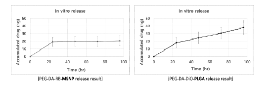 (좌) RB-MSNP 2 mg/ml 잉크의 in vitro 약물방출 결과, (우) DiO-PLGA 20 mg/ml 잉크의 in vitro 약물방출 결과