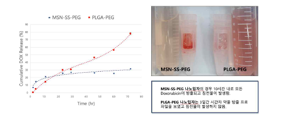 MSN-SS-PEG와 PEG-PLGA 나노입자의 doxorubicin 방출 프로파일 비교