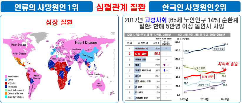 국내외 심혈관계 질환 사망률 및 고령사회 사망원인