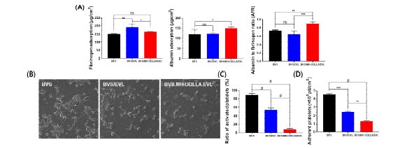 고분자 및 약물에 따른 표면처리된 지지체의 분해거동 (A) 단백질(fibrinogen, albumin) 흡착, (B) 혈소판 모양, (C, D) 혈소판비율및 흡착 수