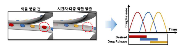 Discrete 3종 약물의 시간 차 분포 모식도 및 약물 분출 프로파일