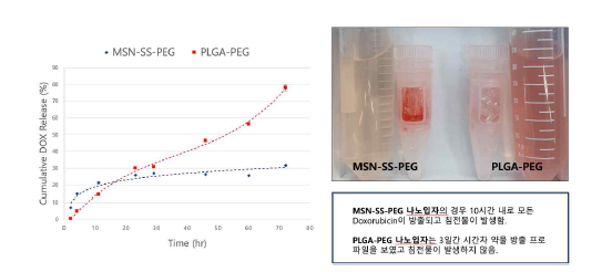 PLGA 나노입자를 사용하였을 때의 개선된 약물 방출 프로파일