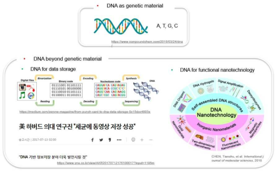 DNA를 이용한 활용 분야