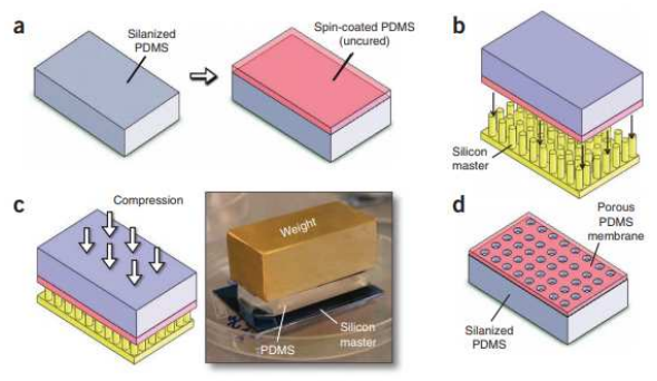 PDMS 소프트리소그래피