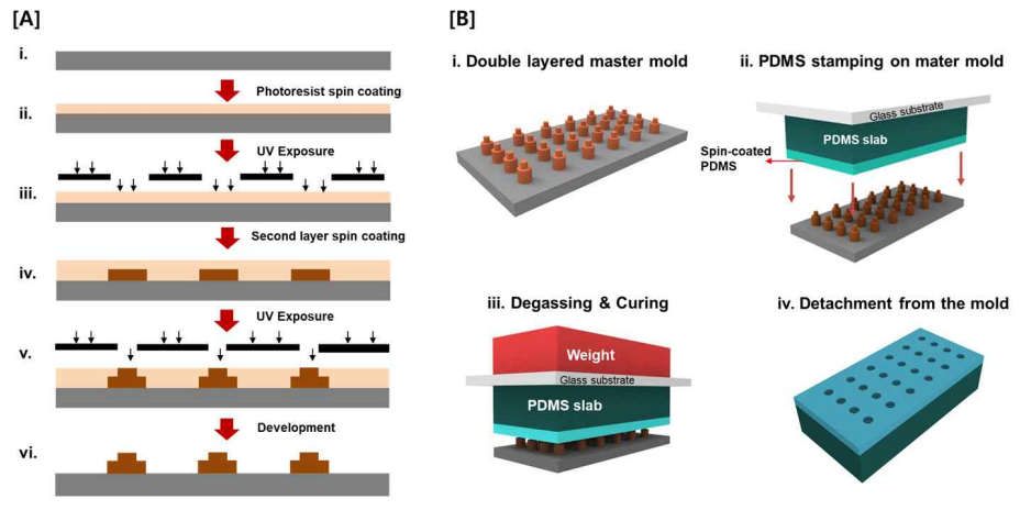 PDMS 기반 합성기판 제작과정