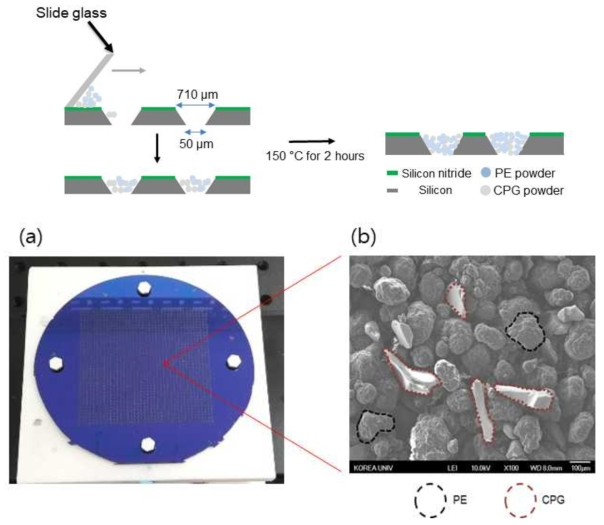 (a) silicon 기반 합성 기판, (b) 폴리에틸렌 소결 결과