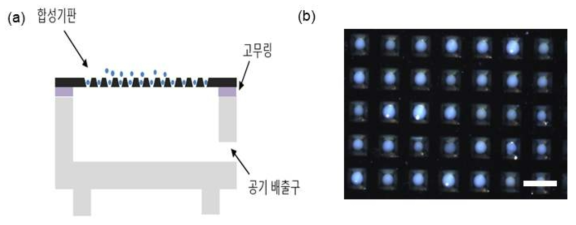 (a) 테프론(Tetrafluoroethylene) 지지대 위에 올려져 있는 합성기판, (b) 합성 기판위에 로딩되어 있는 methacrylic polymer bead (200 μm scale bar)