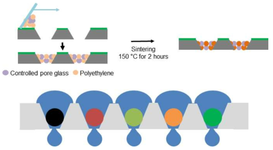 비대칭 에칭된 silicon wafer 기판에 CPG/PE를 로딩하여 through hold washing이 가능한 기판 제작