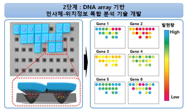 1세부 2단계 연구개발 개요