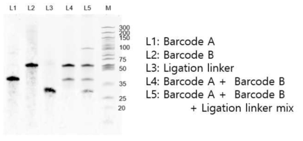 Splint ligation efficiency evaluation for Combinatorial barcode indexing