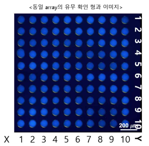 위치정보 전사체 분석 프로브 평가를 위한 형광 분석 이미지