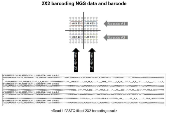 설계한 어레이에 고정되었던 프로브를 회수하여 분석한 NGS FASTQ 데이터