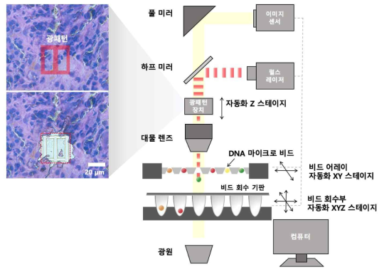 DNA 마이크로 비드 어레이 분리를 위한 펄스 레이저 기반 비드 분리 장비의 모식도