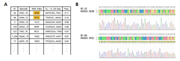 Physical DNA 분리. (A) ScFv DNA 확보가 필요한 클론의 바코드 정보와 저장용기 상의 위치(웰 인덱스) 정보를 확인하여 DNA 회수, (B) NGS와 Sanger 염기서열 분석 결과 일치 예