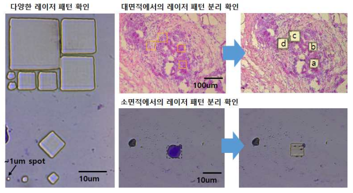 2세부 연구진이 구현한 다양한 레이저 광패턴을 이용한 분리 기술 및 실시예