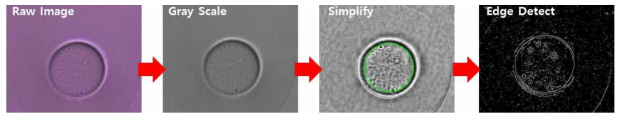 이미지 분석 과정 도식화, 전체 이미지 중 특정 영역 선택, 빠른 연산 처리를 위해 단순화 시킨 후 경계면 측정 과정을 거침