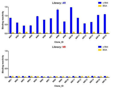 반응성이 있을 것으로 예측된 15개 클론(AR)과 반응성이 없을 것으로 예측된 16개 클론(NR)의 실제 반응성 실험 결과. 항원은 c-Met이 사용되었으며 BSA는 negative control임