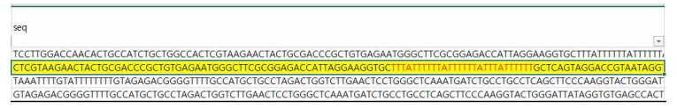 Homopolymer를 포함하는 프로브 서열의 예시. 노란색 음영으로 표시된 문자 행은 하나의 프로브 염기서열을 나타내고 있으며 그 중 빨간색 글씨로 표시된 영역이 T homopolymer 영역임