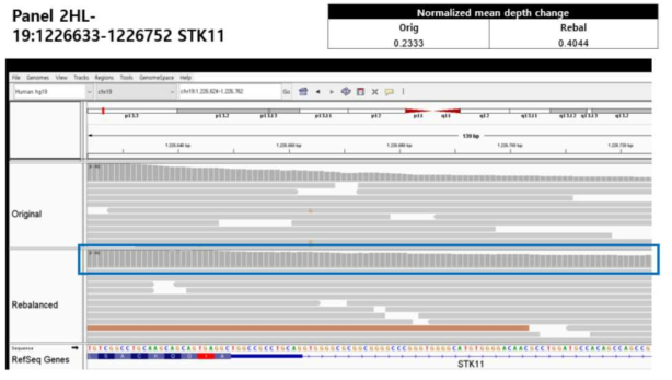패널2HL-가 포획한 STK11 유전자 영역에서 리밸런싱 후 uniformity가 개선된 예시(파란색 상자 안쪽이 depth를 의미)