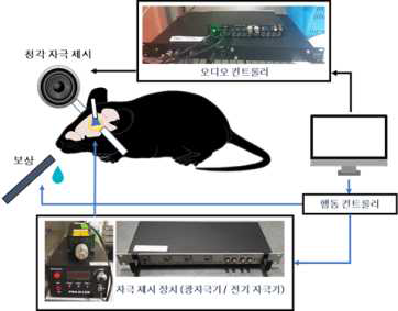 Tone discrimination 행동실험 장비 구성