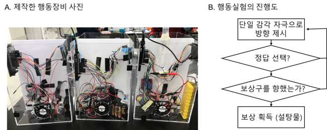 단일감각기반 행동실험 장비의 사진과 진행도