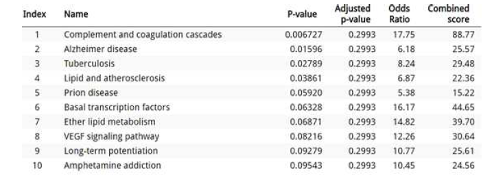 아밀로이드 베타 유무 관련 유전자들의 functional enrichment 테스트 결과