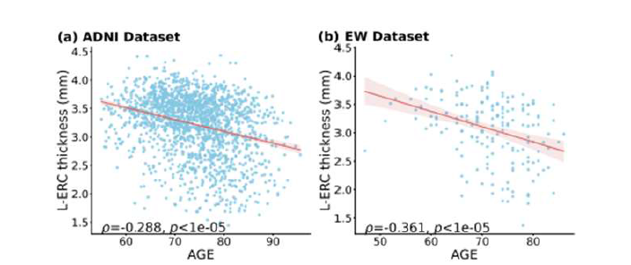 Left entorhinal cortical thickness average와 나이의 상관관계 분석