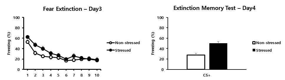 PTSD 생쥐모델에서 공포기억 소멸 학습과 공포기억 소환 반응.