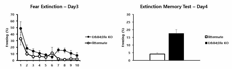 공포소멸 학습 실험조건하에서 ErbB4 KO 생쥐모델과 대조군의 비교.