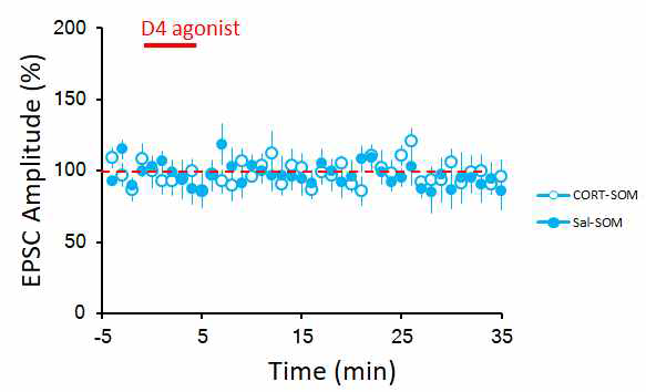 편도체 측핵의 추체신경세포 (Pyramidal neuron) 편도체 측핵 내 SOM (+) 개재신경세포로의 흥 분성 신호세기는 도파민 수용체4 길항제 (D4 agonist)에 의해 CORT 복강주사군에서 변화하지 않음.