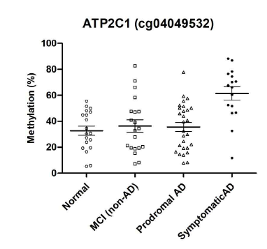 19명의 아밀로이드 병리소견이 없는 정 상인지군(정상 대조군), 20명의 아밀로이드 병리 소견이 없는 경도인지장애 환자군, 28명의 알츠 하이머병 경도인지장애 환자군 그리고, 16명의 알츠하이머병 치매 환자군으로 구성된 validation set에서 후성유전체 AD 진단마커 ATP2C1 (cg04049532) 메틸화 정도