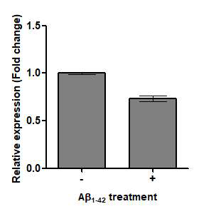정상인의 피부섬유아세포에 독성 베타아밀로이드 Aβ1-42를 3일 간 처리한 후 GFRA1의 유전자 발 현을 분석