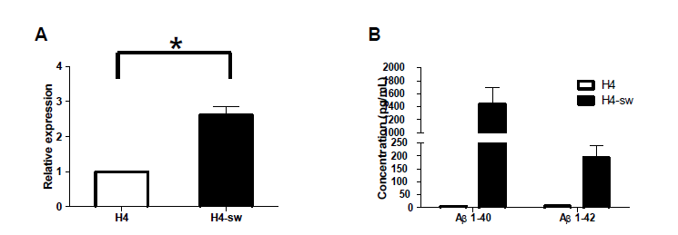 H4와 H4SW 세포주의 아밀로이드 단백질 발현과 독성 베타이밀로이드 분비 비교