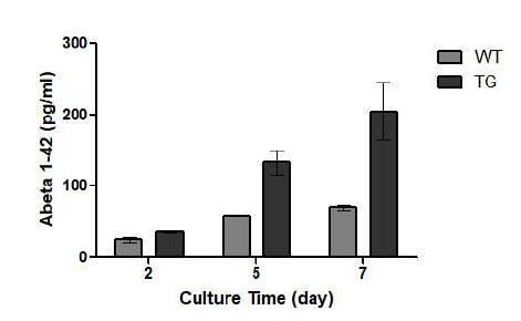 Wild type과 Borchelt mice hippocampal neuron에서 Aβ1-42의 분비량 비교