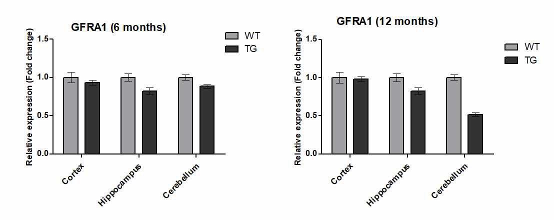 Wild type과 Borchelt mice의 GFRA1 유전자 발현비교