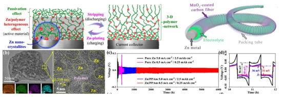 Reversible Zn/PPAm heterogeneous electrode with excellent electrochemical performance for fiber-shaped Zn-metal battery. (a) Illustration of working mechanism of the Zn/PPAm electrode, and photo of fiber battery. (b) TEM and EDS, and (c,d) electrochemical performance of the Zn/PPAm electrode