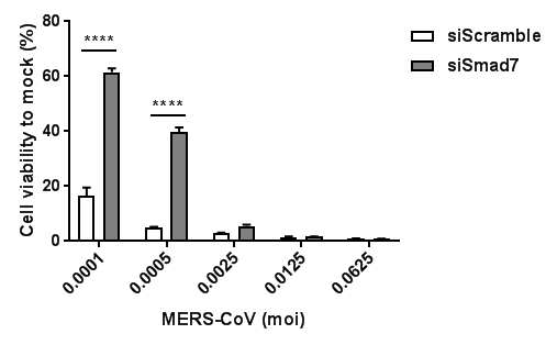 메르스 코로나바이러스의 양(moi)에 따른 Huh7세포의 세포 생존율 변화 곡선