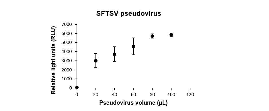 SFTS 슈도바이러스 양에 따른 luciferase의 활성도