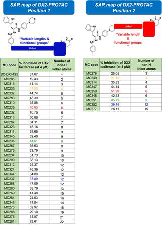 AIMP2-DX2 PROTAC 화합물들의 E3-ligase 종류와 linker 결합 위치에 따른 SAR 분석 결과