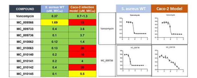 TA scaffold의 유도체들의 S. aureus의 wild type과 Caco-2 감염된 모델에 대하여 활성 확인
