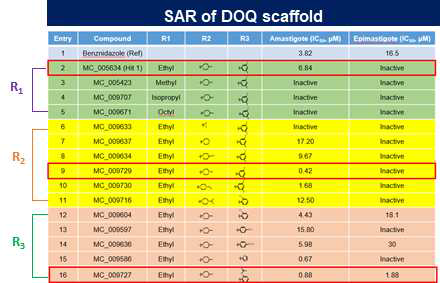 DOQ 화합물의 SAR. For R1: Only ethyl group is active against T. cruzi. For R2: Methylpiperazine moiety is more active compared to 4-methylpiperidine (Hit compound). For R3: Polar groups on benzene moiety increase the activity. Acetoxy group show the highest activity against T. cruzi in both amastigote and epimastigote form of the T. cruzi.