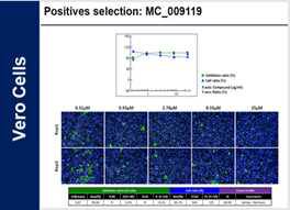 Dose response concentration 실험을 통한 유효 ATC 구조 확보